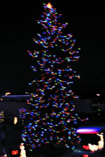 The Olde Town Christmas Tree festively lit up Olde Town Square.