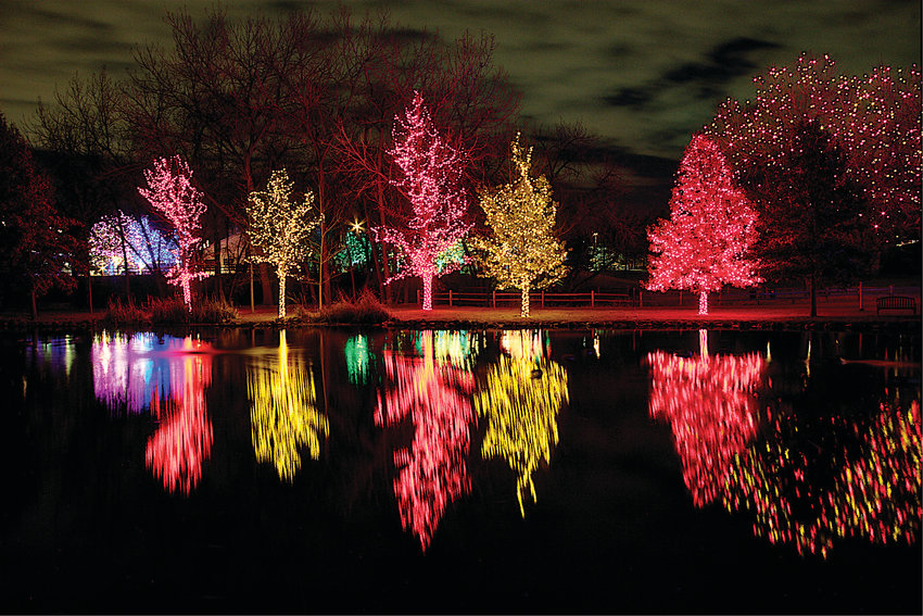 Thousands of colored lights will invite a visitor to “A Hudson Christmas” at Hudson Gardens in Littleton.