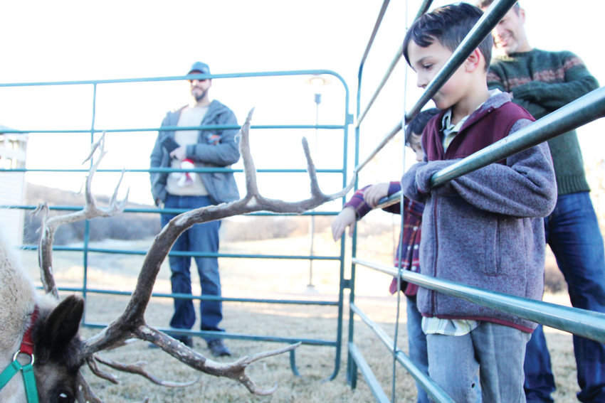 Children lined the fence for a chance to see live reindeer at the Reindeer Games in Castle Rock on Dec. 14, some climbing up for a better view.