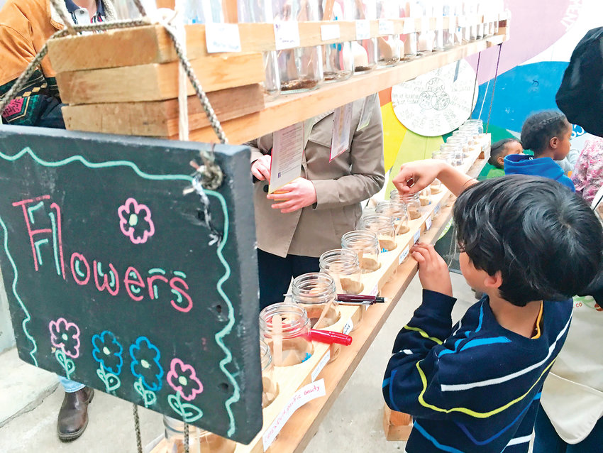 A child picks out some seeds at The GrowHaus’ annual Seed Swap last year. This year, the event takes place from 10 a.m. to 6 p.m. March 23 at The GrowHaus, 4751 York St., in Denver.