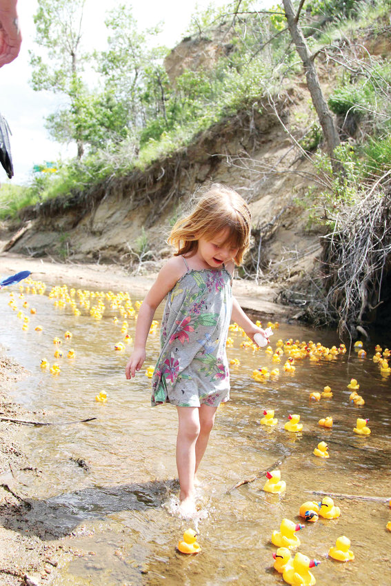 Evelynn Jensen, 4, runs with rubber ducks floating down Plum Creek on June 8 during the annual Ducky Derby event.