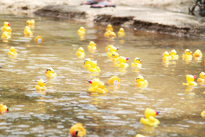 The Ducky Derby is an annual fundraiser for local rotary clubs and popular family event in Castle Rock.