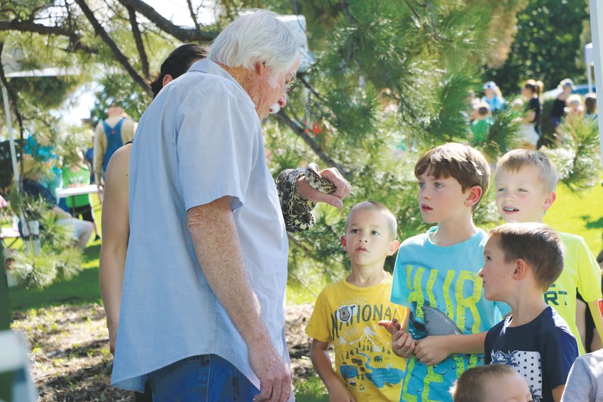 A volunteer with Nature’s Educators holds a bull snake while children take a look during Highlands Ranch Pioneer Days. This type of snake, common to Colorado, sometimes disguises itself as a rattlesnake, said a representative from the nonprofit.