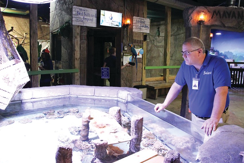 SeaQuest Littleton general manager David Slater surveys a "touch tank" at the interactive aquarium in Southwest Plaza Mall on Oct. 4. Slater, who took over the controversial aquarium a year ago, said he hopes to rebuild SeaQuest's reputation after numerous animal welfare violations.