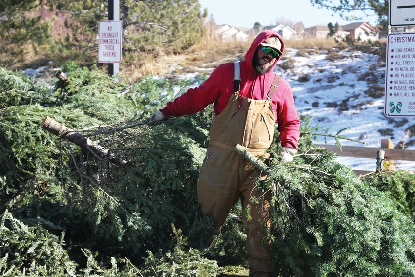 Residents can get permits to cut a live tree, then recycle it with their local county or municipal government programs.