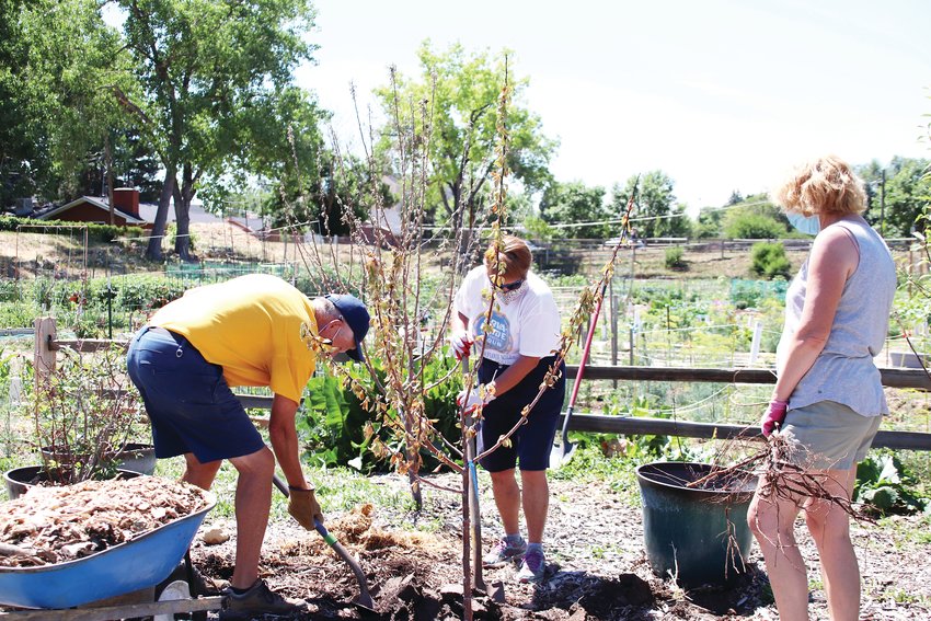Volunteers wore face masks and gloves while planting in the garden.