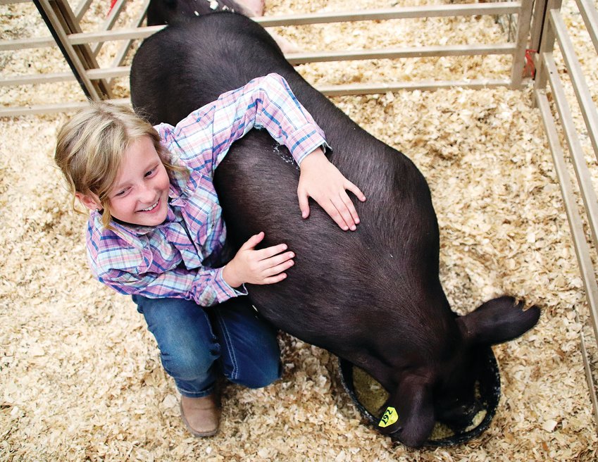 Charli Surry, 9, sits with her pig Jelly Belly Bean at the Friday, July 31 Douglas County livestock sale before the event began. The pig sold for $1,900.