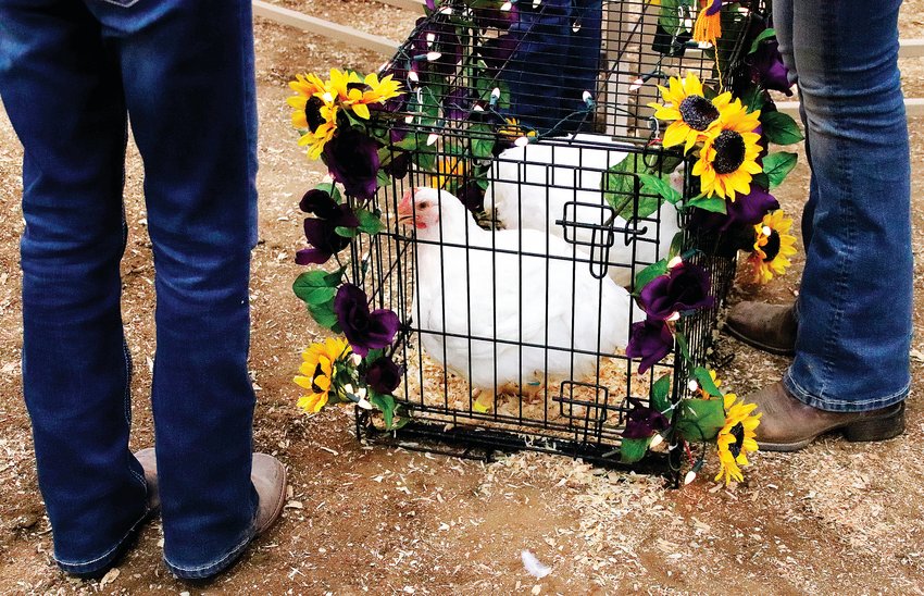 Some kids participating in the livestock sale decorated their animals or their containers. This chicken cage was decorated with flowers and string lights.