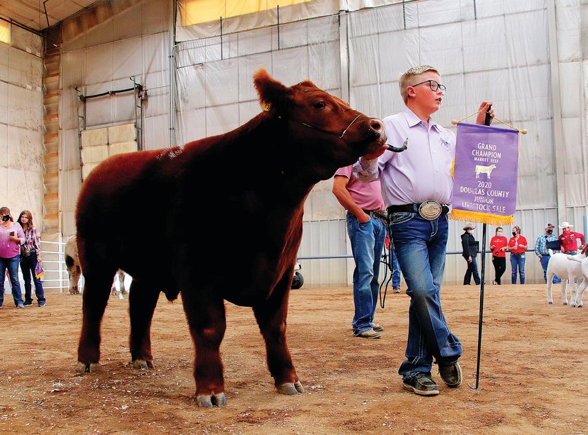 James Mullins, 12, with his steer, the grand champion of the junior livestock sale for market beef. The 1,200-pound steer sold for $18,000 in the auction.