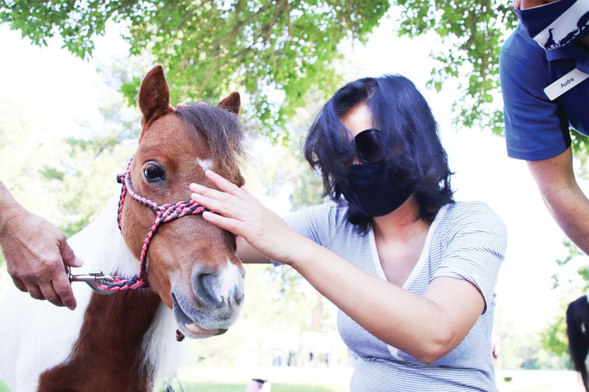 Eliza Portugal pets Love Bug, a miniature therapy horse.