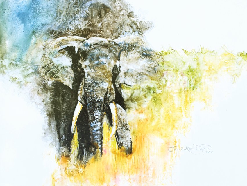 Chuck Danford's "Pride of Africa" watercolor took first place in the "This is Colorado" show.