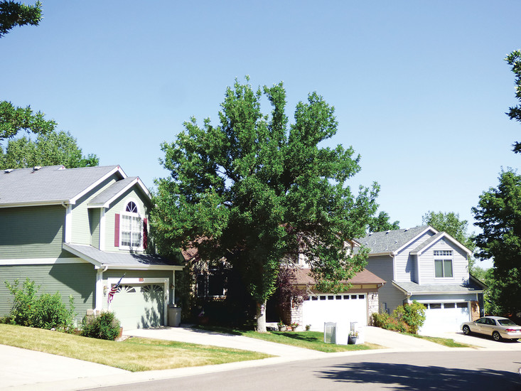 Homes sit in a neighborhood in Littleton, part of the notably expensive Denver metro area.