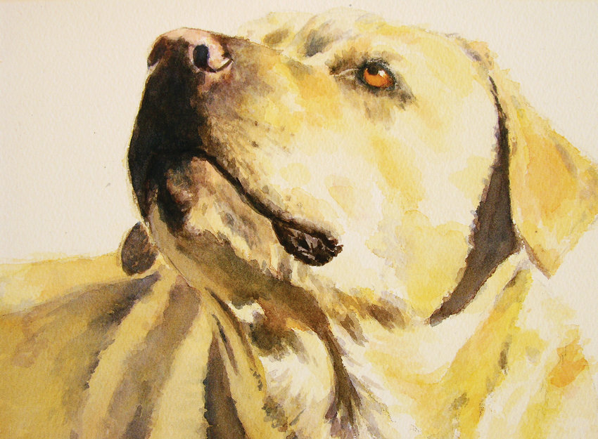 “Loyal-One” a watercolor, by Pam McLaughlin is included in the exhibit, “Man’s Best Friend: Animal Portraiture” at the Art Students League Denver.