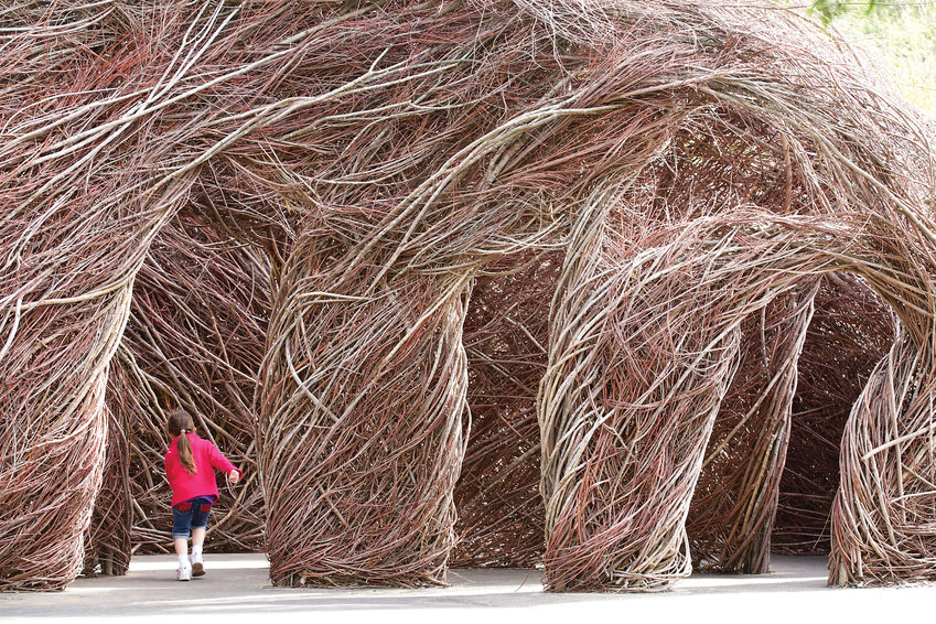 Patrick Dougherty will construct a new immersive sculptural work at Denver Botanic Gardens at Chatfield. Example shown is “Ready or Not” at the North Carolina Zoo (2013). The new piece will be introduced April 27.