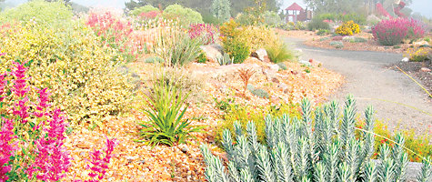 The gardens at Kendrick Lake in Lakewood are a perfect example of a fully-xeriscaped landscape using a variety of native plants and low-water-use plants.