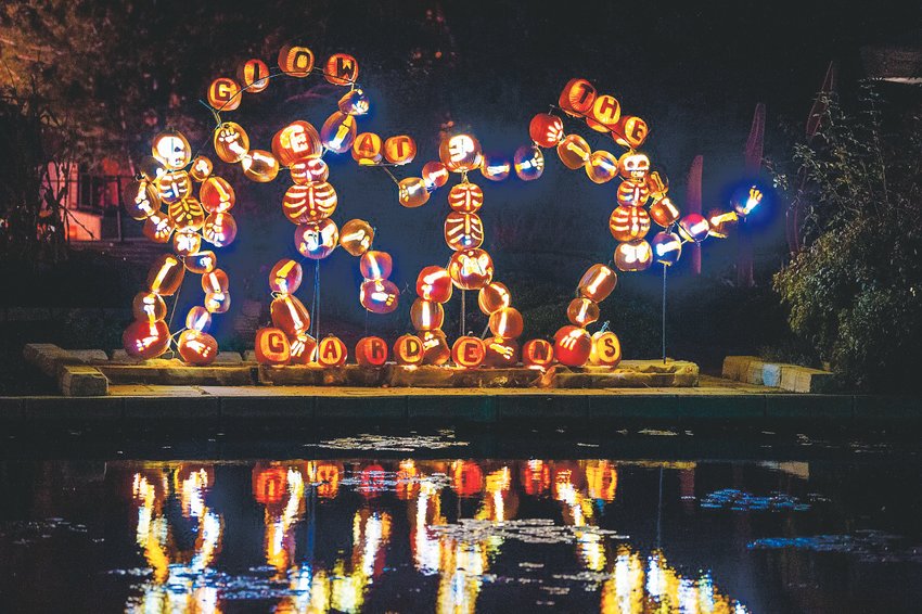 Denver Botanic Gardens will be lit up with hundreds of carved pumpkins, crafted by professional carvers.