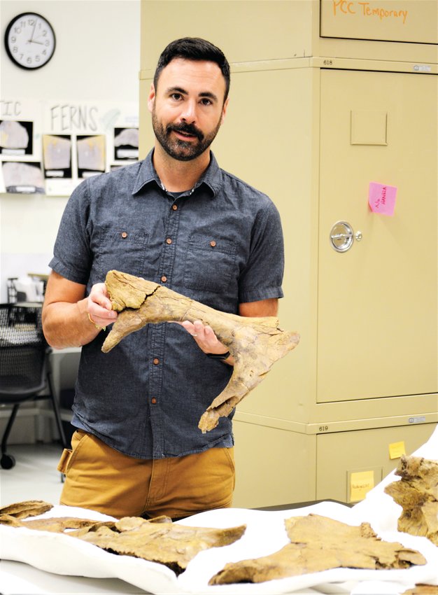Paleontologist Joe Sertich, curator of dinosaurs for the Denver Museum of Nature and Science, holds the nasal bone of a 66 million-year-old Torosaurus pulled from the Thornton soil in 2017. The bones are being studied now by the museum staff and Sertich said scientists have already learned a lot from them.