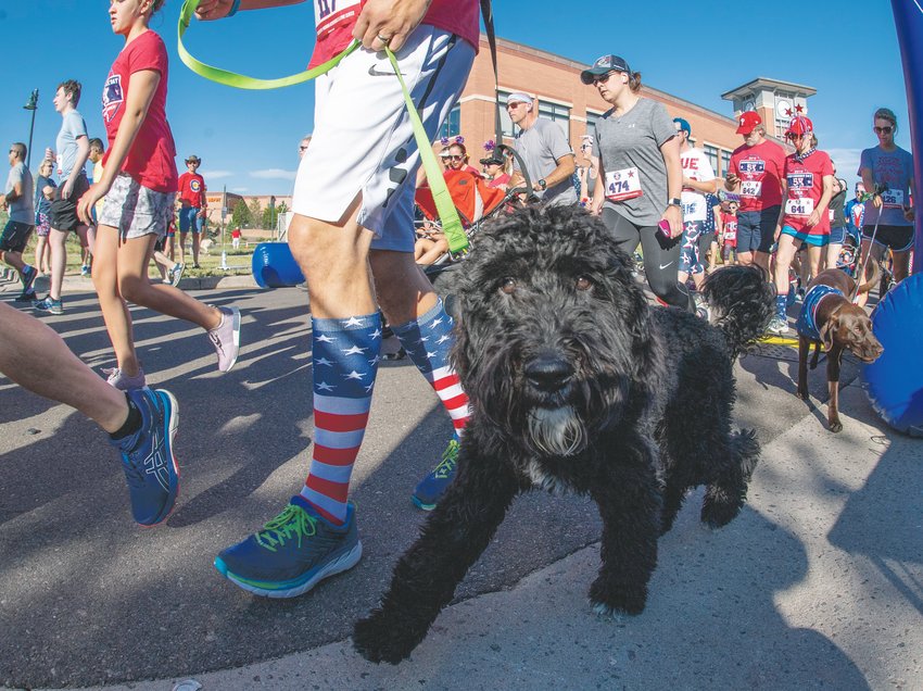 Minutes after the official start, four legged runners were allowed to begin the Highlands Ranch Independence Day 5k Race in 2019. This year's race will be staged virtually.