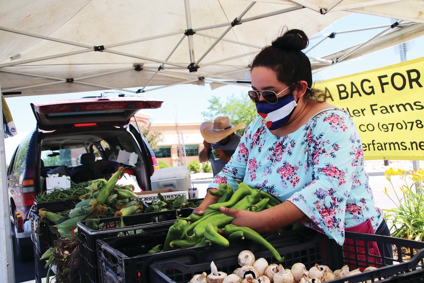 Claribel Jaime sorts through a crate of peppers at the Miller Farms produce stand at the Lone Tree Farmer's Market July 11. The farmer's market pops up every Saturday in the parking lot of the 9000 block of Park Meadows Drive and runs through October.