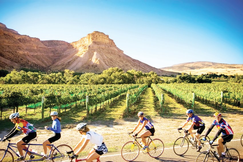 A group cycling through the vineyards in Palisade, “wine country.”