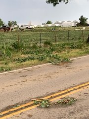 The June 7 tornado in Firestone damaged trees and a dairy and left tree branches in its wake along Weld County Road 19.