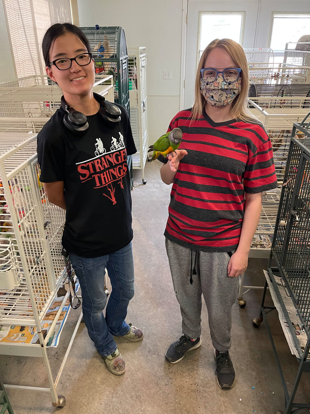 The Gabriel Foundation has fifteen staff members and over 100 active volunteers to help the organization run smoothly. (L) Sara Thorpe who works in Husbandry, (R) Adele Beesley who works in flock health, administration and events. The bird Adele is holding is a Senegal parrot named PJ.