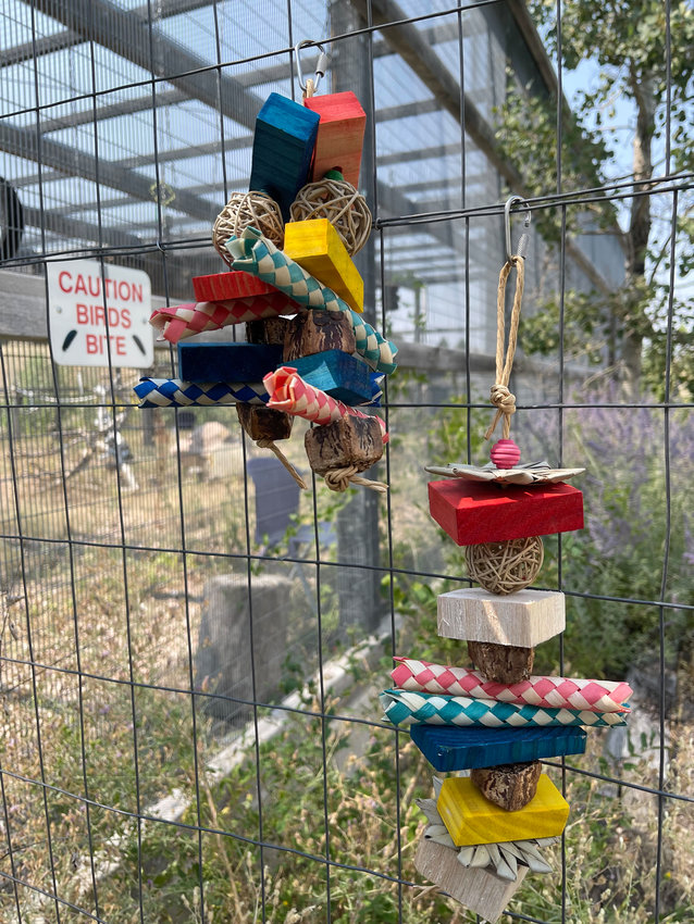 The parrots are given toys for chewing and enrichment. Here are some of the staff-made toys that the parrots regularly enjoy.