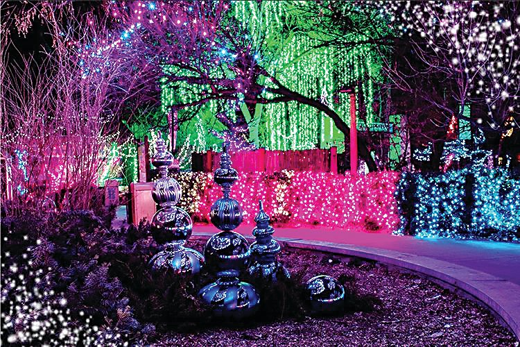 The Zoo Lights attraction at the Denver Zoo is among holiday lighting treats scattered throughout the Denver metro area.