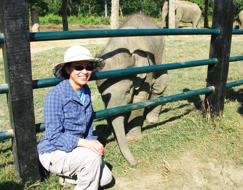 Nancy Kiyota gets her picture taken with a baby elephant at an elephant sanctuary in Nepal in 2012. Kiyota of Washington Park attended the trip as a volunteer with a Littleton-based wildlife conservation organization called the Katie Adamson Conservation Fund (KACF).