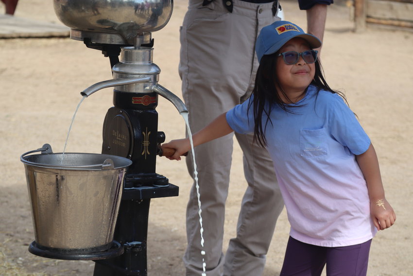 7-year-old Ava Jenkins works a machine used by Colorado's pioneers.
