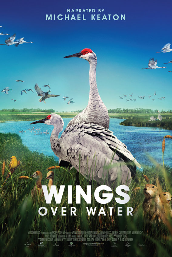 The IMAX film, “Wings Over Water,” is showing until July 18 at the Denver Museum of Nature &amp; Science.