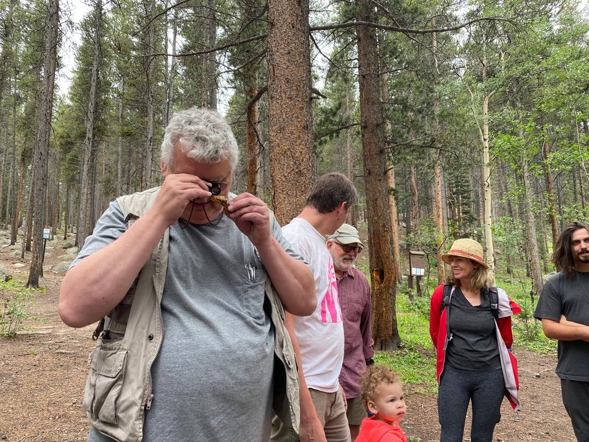 Former Colorado Mycological Society president Ed Lubow uses a loupe to examine a smaller mushroom for identification. Lubow regularly leads forays for the mycological society and has noticed a growing number of people interested in foraging.