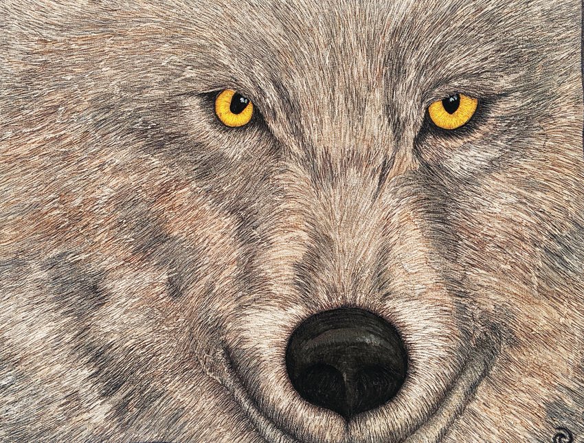 The Studio Art Quilt Associates’ “Wild” exhibit features “Wolf: The Eyes Have It” by Rhonda S. Denney of Emporia, Kansas.