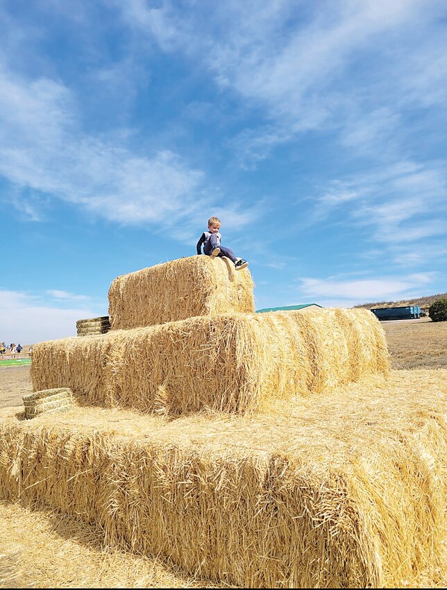 A child sits atop a straw-bale pile at The Patch.